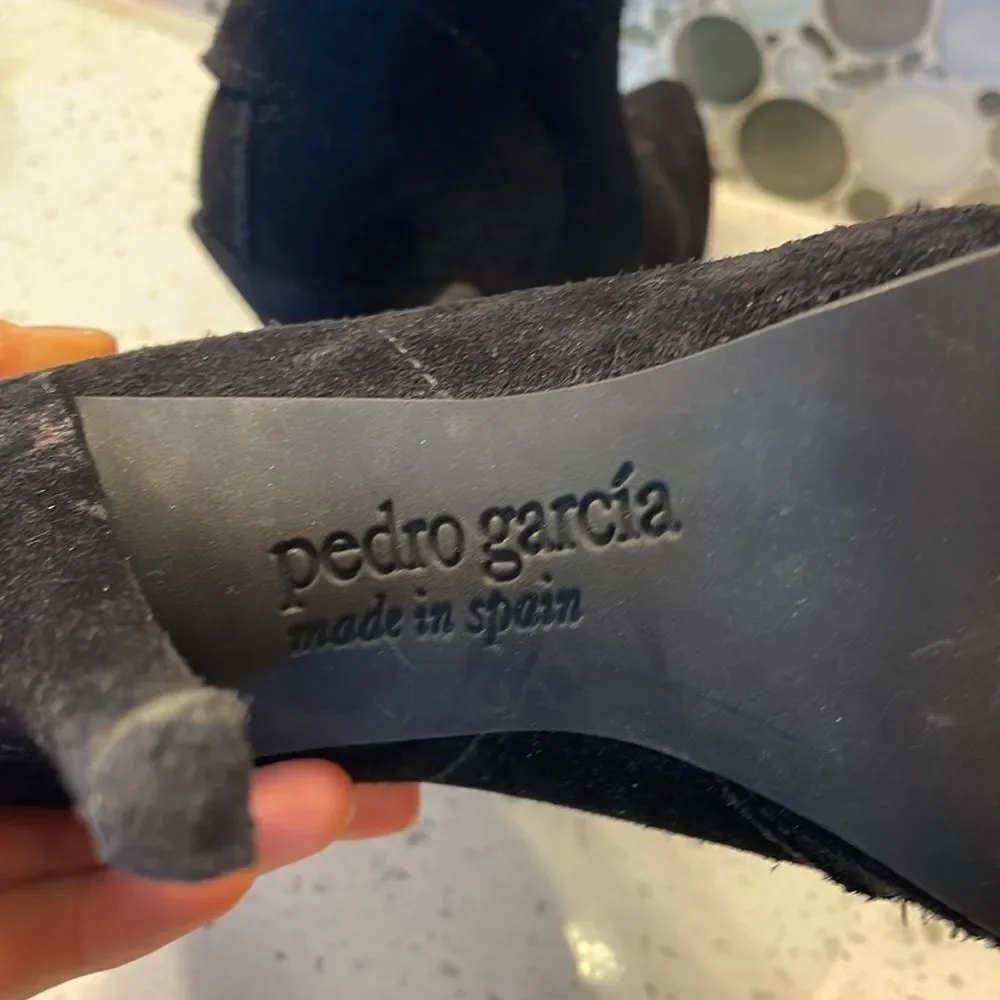Pedro Garcia pedro garcia